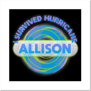 Hurricane Allison Posters and Art